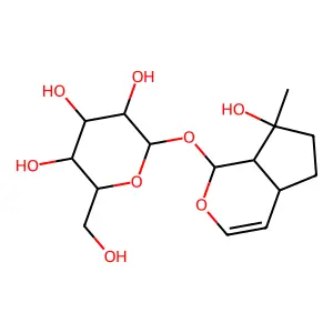 Gluroside structure