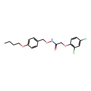 N-[(4-butoxyphenyl)methoxy]-2-(2,4-dichlorophenoxy)acetamide structure