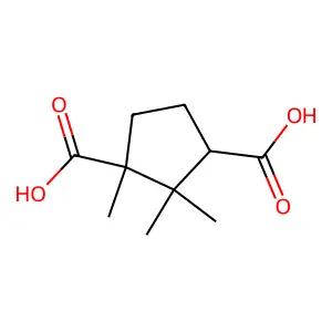 DL-Camphoricacid structure