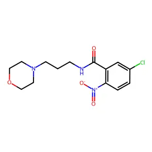 5-chloro-N-(3-morpholin-4-ylpropyl)-2-nitrobenzamide structure