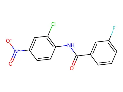 N-(2-chloro-4-nitrophenyl)-3-fluorobenzamide structure