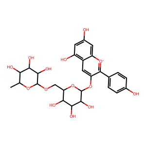 pelargonidin 3-O-rutinoside structure