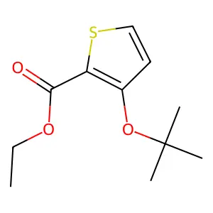 Ethyl 3-(1,1-dimethylethoxy)-2-thiophenecarboxylate structure
