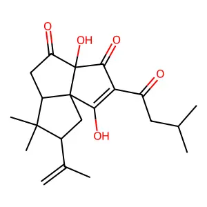 Tricyclodehydroisohumulone structure