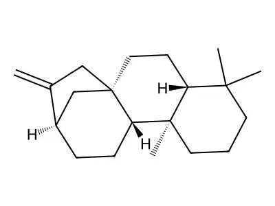 Kaurene structure