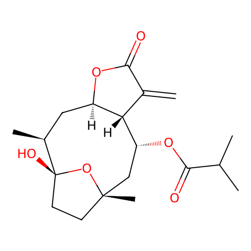 Tirotundin structure