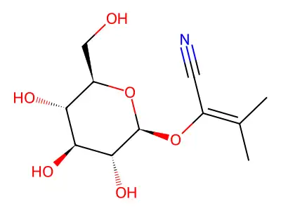 Acacipetalin structure