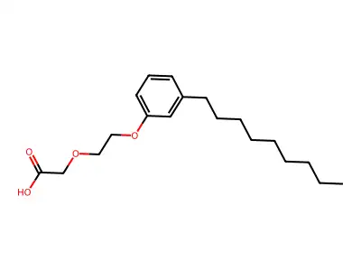 NP 4CM structure