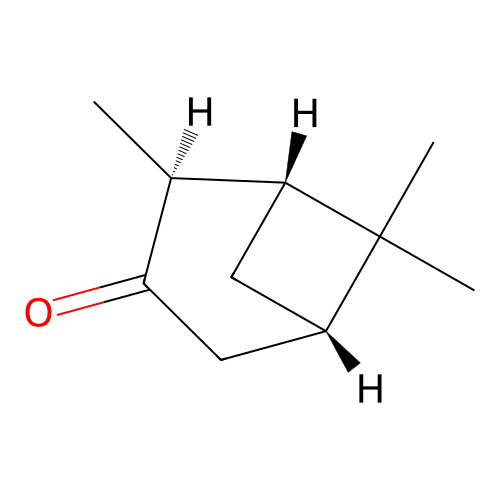 trans-Pinocamphone (pinocamphone) structure