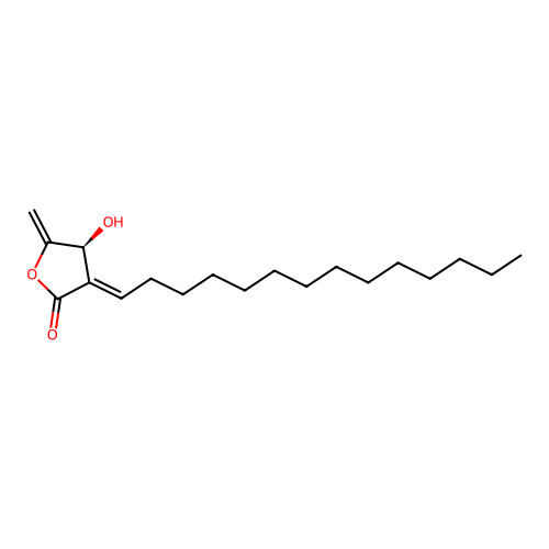 Isoobtusilactone A structure