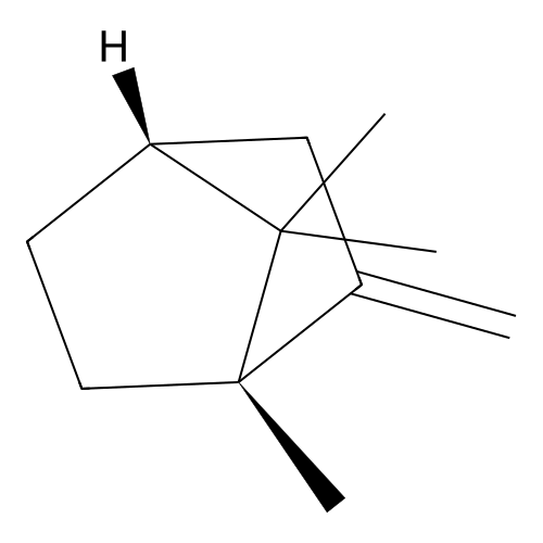(1S,4R)-1,7,7-trimethyl-2-methylidenebicyclo[2.2.1]heptane structure