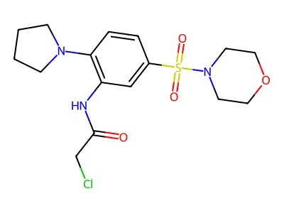 2-Chloro-N-(5-(morpholinosulfonyl)-2-(pyrrolidin-1-yl)phenyl)acetamide structure