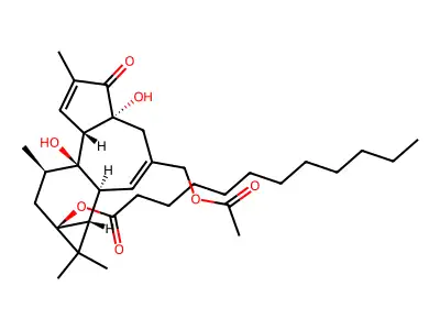 12-Deoxy-phorbol-13-dodecanoate-20-acetate structure