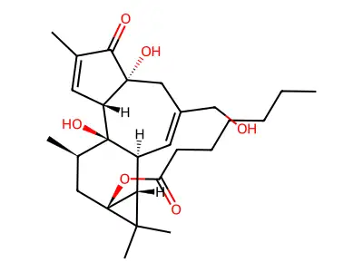 12-Deoxy-phorbol-13-heptanoate structure