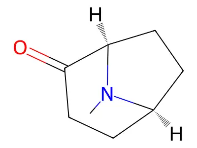 8-Methyl-8-azabicyclo[3.2.1]octan-2-one structure