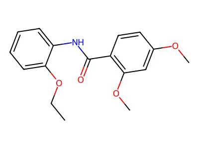 N-(2-ethoxyphenyl)-2,4-dimethoxybenzamide structure
