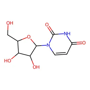 Uridine-5,6-t2 structure