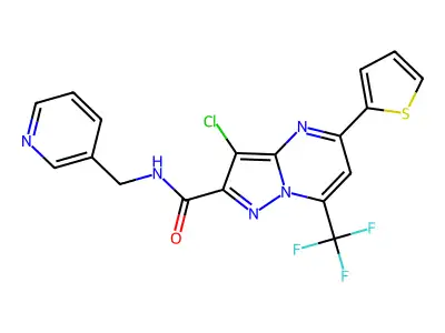 BIM-0027643.P001 structure