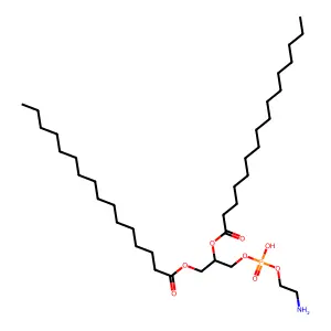 二棕榈酰磷脂酰乙醇胺 structure
