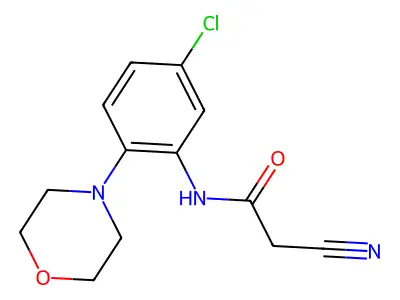 N-[5-chloro-2-(morpholin-4-yl)phenyl]-2-cyanoacetamide structure