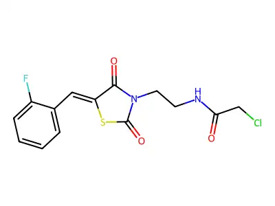 2-chloro-N-(2-{5-[(2-fluorophenyl)methylidene]-2,4-dioxo-1,3-thiazolidin-3-yl}ethyl)acetamide structure