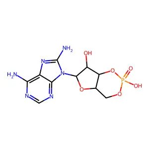 8-Amino-cyclic amp structure