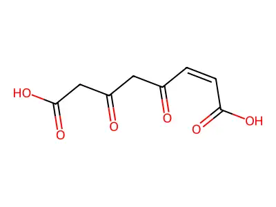 4-马来酰乙酰乙酸 structure