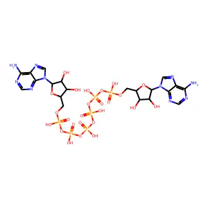 Ap6A structure