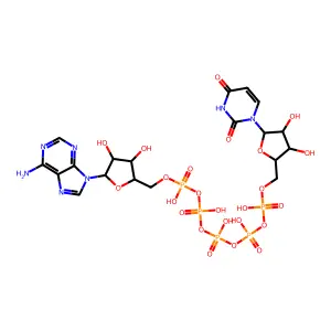 P1-(adenosine-5'-P5-(uridine-5')pentaphosphate structure