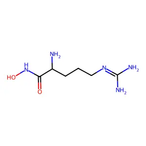 2-Amino-5-guanidino-N-hydroxypentanamide structure