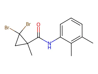 2,2-dibromo-N-(2,3-dimethylphenyl)-1-methylcyclopropanecarboxamide structure
