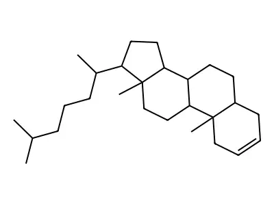 (2R)-bicyclo[2.2.1]heptane-2-carboxamide structure