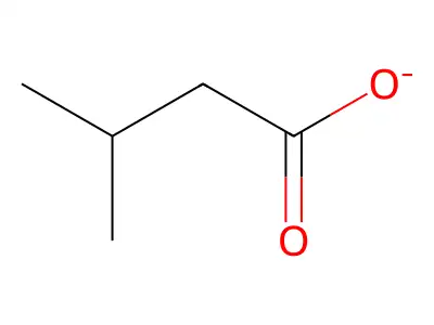 Isovalerate structure