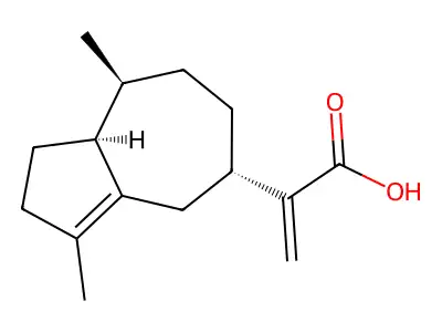 Aciphyllic acid structure