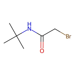 2-Bromo-N-(tert-butyl)acetamide structure