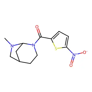 8-Methyl-3-(2'-nitrothien-5'-yl)carbonyl-3,8-diazabicyclo(3.2.1)octane structure