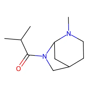 8-Isobutyryl-3-methyl-3,8-diazabicyclo(3.2.1)octane structure