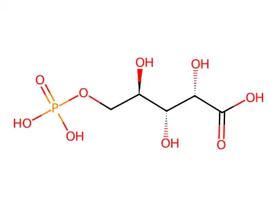 硫杂环丁烷1,1-二氧化物 structure