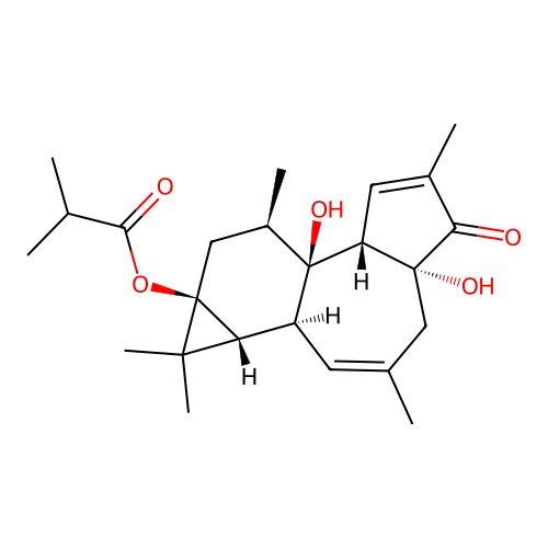 12,20-Dideoxyphorbol-13-isobutyrate structure