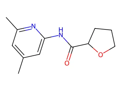 N-(4,6-dimethylpyridin-2-yl)oxolane-2-carboxamide structure