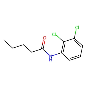 N-(2,3-dichlorophenyl)pentanamide structure