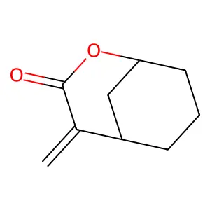 6-Methylidene-8-oxabicyclo[3.3.1]nonan-7-one structure
