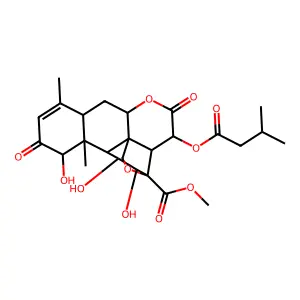 ISOBRUCEIN A structure