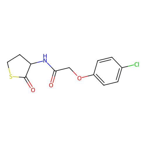 2-(4-chlorophenoxy)-N-(2-oxothiolan-3-yl)acetamide structure