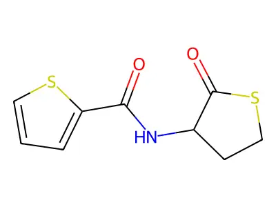 N-(2-oxothiolan-3-yl)thiophene-2-carboxamide structure
