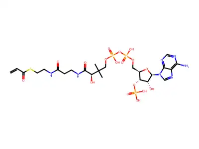 Acrylyl-CoA structure