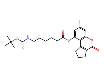 EiM07-19930 structure