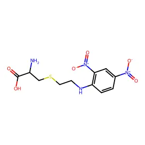 2-Amino-3-[2-(2,4-dinitroanilino)ethylsulfanyl]propanoic acid structure