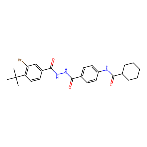N-(4-{[2-(3-bromo-4-tert-butylbenzoyl)hydrazino]carbonyl}phenyl)cyclohexanecarboxamide structure