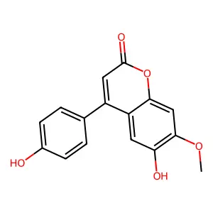 Melannin structure